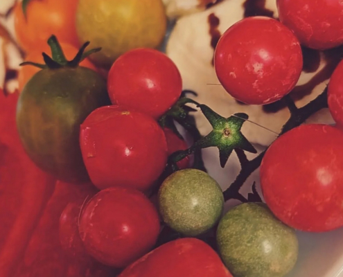 Bauer Frank's Feldtomaten